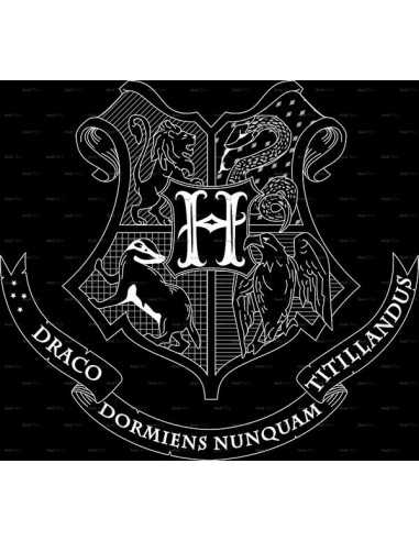 Camiseta de mujer Hogwarts Logo lineas