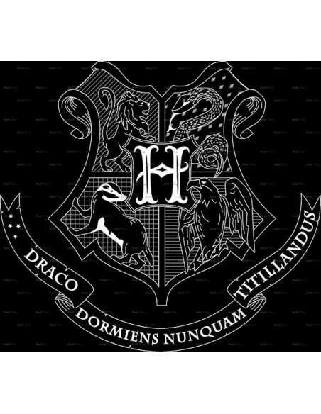 Camiseta de mujer Hogwarts Logo lineas