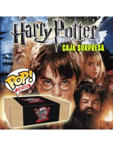Caja Sorpresa Harry Potter