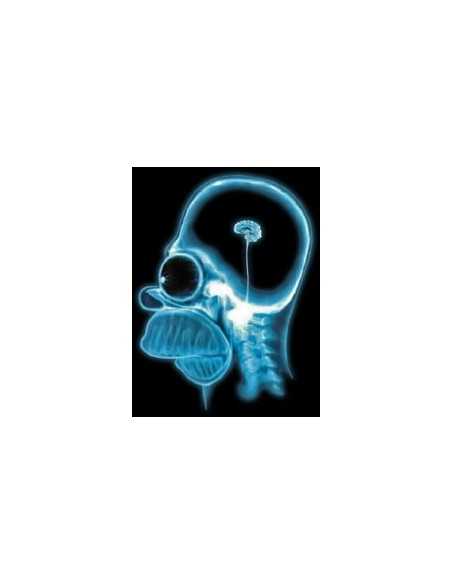 Jersey cerebro Homer Simpson manga larga