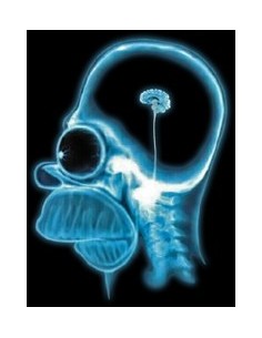 Camiseta cerebro de Homer Simpson manga corta 2