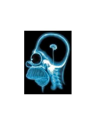 Camiseta cerebro de Homer Simpson manga corta