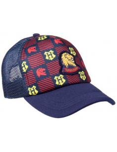Gorra Harry Potter...
