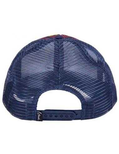 Gorra Harry Potter Gryffindor escudos