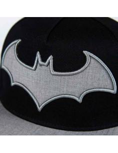 Gorra plana Logo Batman... 2