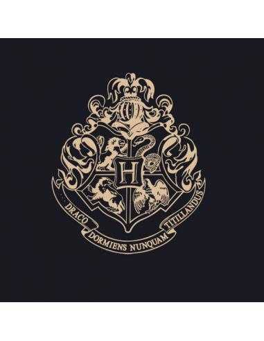 Sudadera Harry Potter Hogwarts trazos