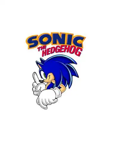 Camiseta Sonic The Hedgehog Nº1