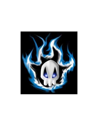 Camiseta Bleach blue scull manga larga