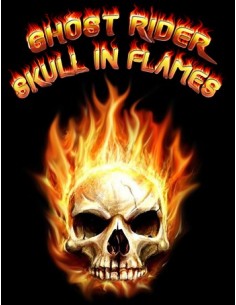 Camiseta Ghost Rider Skull manga Larga 2