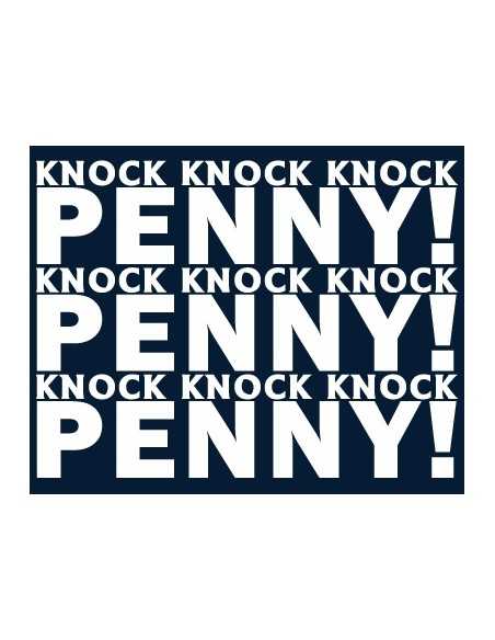 Camiseta The Big Bang Theory -knock Penny-manga corta