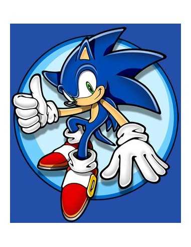 Sudadera Sonic con diseño estampado -logo custom-