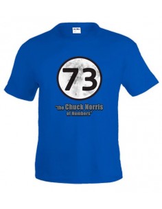Camiseta Sheldon 73 “the Chuck Norris of Numbers”