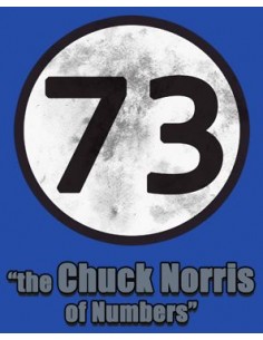 Camiseta Sheldon 73 “the Chuck Norris of Numbers” 2