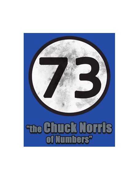 Camiseta Sheldon 73 “the Chuck Norris of Numbers”