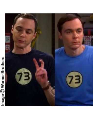 Camiseta Sheldon 73 “the Chuck Norris of Numbers”
