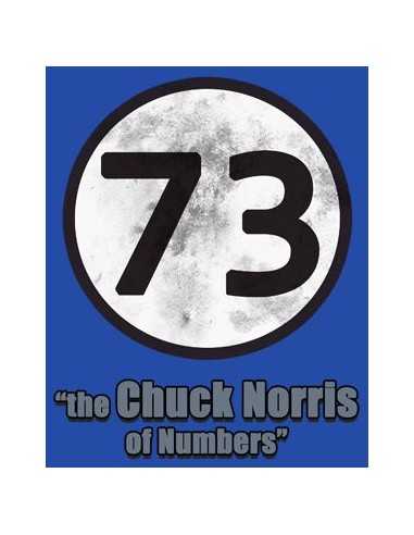 Sudadera Big Bang Theory 73 “the Chuck Norris of Numbers” Sudadera Big Bang Theory 73 “the Chuck Norris of Numbers”
