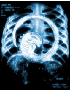 Sudadera Aliens -Radiografia- 2