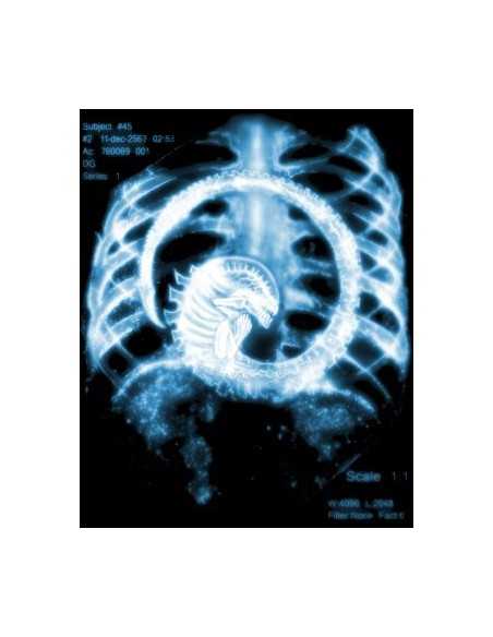 Sudadera Aliens -Radiografia-