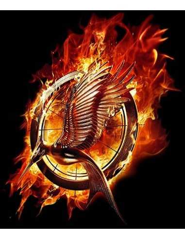 Camiseta -Juegos del hambre En Llamas- manga larga - Mx Games