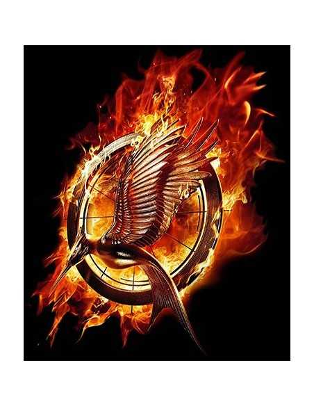 Camiseta -Juegos del hambre En Llamas- manga larga - Mx Games