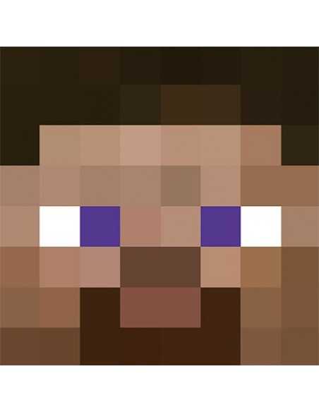 Camiseta Minecraft Steve cabeza - Mxgames