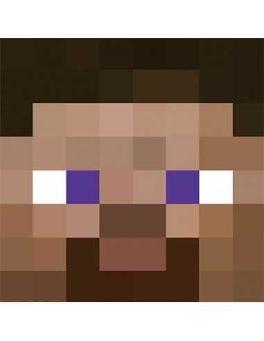 Sudadera capucha Minecraft Steve cabeza 