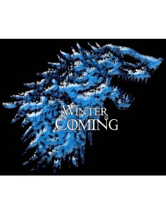 Camiseta Juego de Tronos mujer - Winter is incoming 2