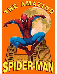 Camiseta Spider-man niño modelo "Moon" color Naranja 2