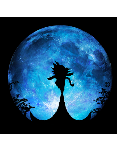 SUDADERA DRAGON BALL GOKU EQUILIBRIO MIRANDO LA LUNA -KEVINHEIWART 