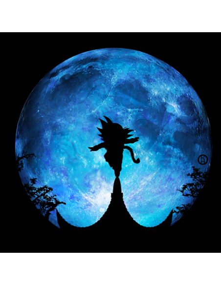 CAMISETA DRAGON BALL GOKU EQUILIBRIO MIRANDO LA LUNA -KEVINHEIWART CAMISETA DRAGON BALL GOKU EQUILIBRIO MIRANDO LA LUNA -KEVINHEIWART