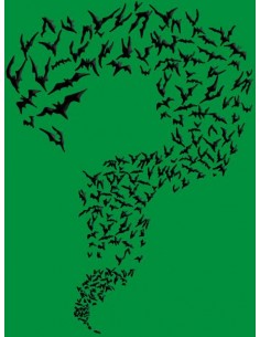 Camiseta Sheldon Batman enigma 2