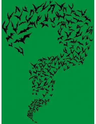 Camiseta Sheldon Batman enigma Camiseta Sheldon Batman enigma