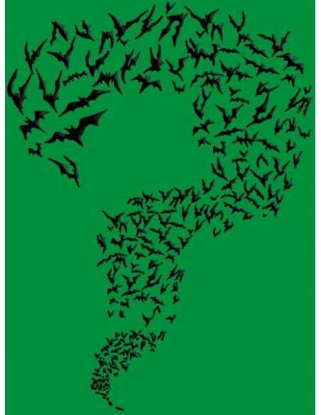 Camiseta Sheldon Batman enigma Camiseta Sheldon Batman enigma