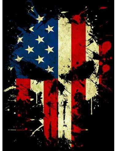 Sudadera The Punisher American