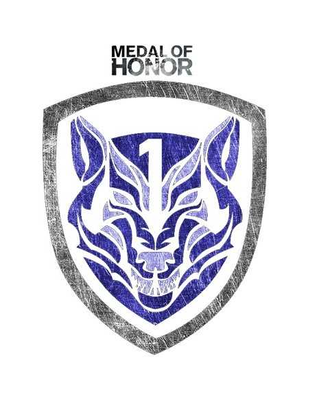 Camiseta Medal of Honor Tier1 wolfpack manga larga