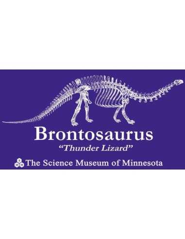 Sudadera Stranger Things Dustin Museo Minnesota Sudadera Stranger Things Dustin Museo Minnesota