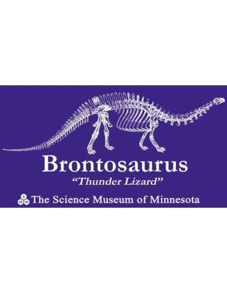 Sudadera Stranger Things Dustin Museo Minnesota Sudadera Stranger Things Dustin Museo Minnesota